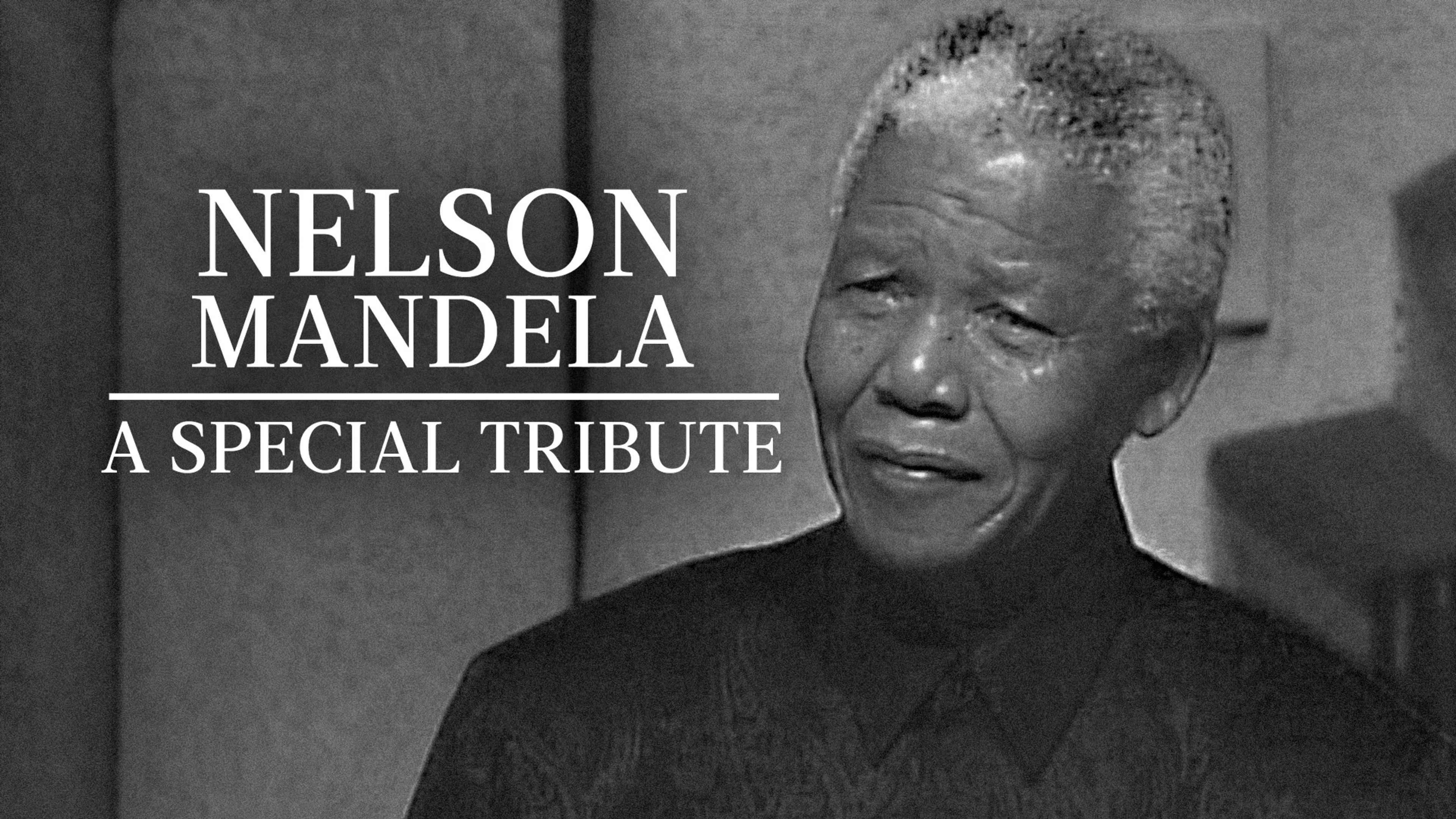 Nelson Mandela: A Special Tribute poster